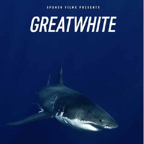 GREAT WHITE
